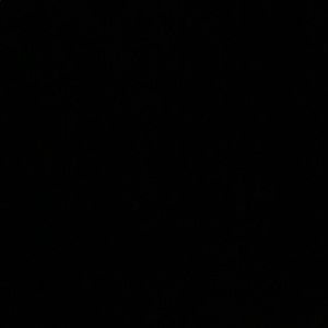 Meet your Posher, Dane